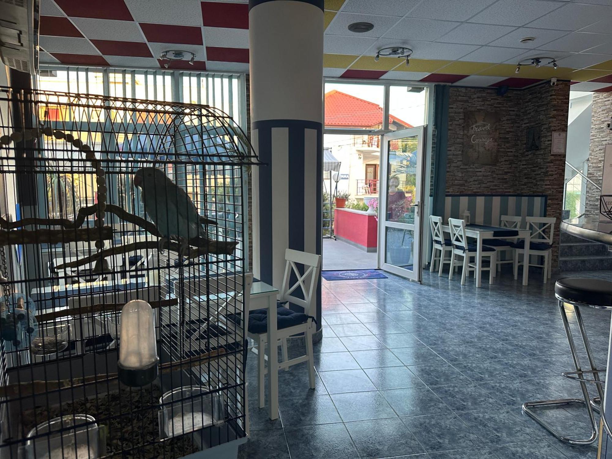 Hotel Plexus Boutique Eforie Sud  Esterno foto